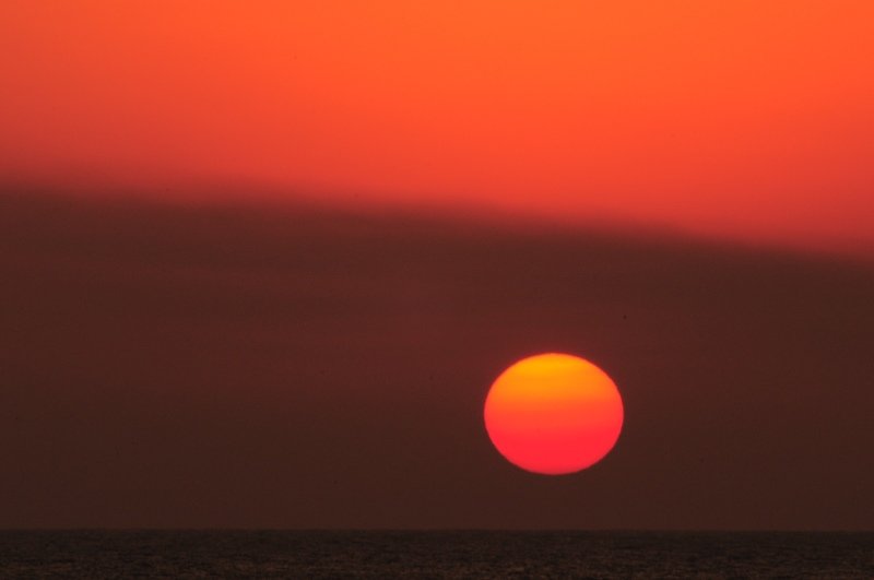 DSC_4856