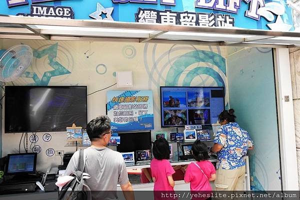 花蓮遠雄海洋公園-讓人流連往返的海獅小學堂、海豚傳說-跳浪奇