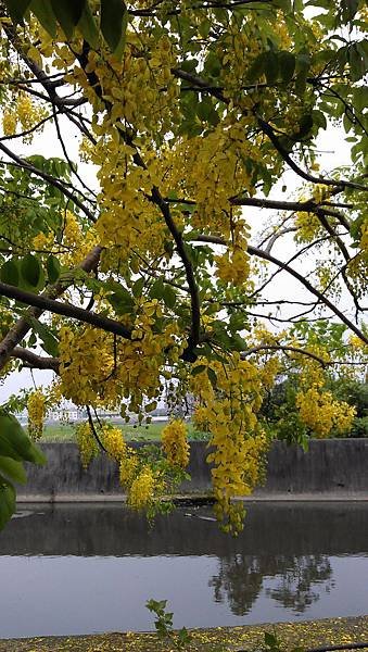 IMAG0021.jpg
