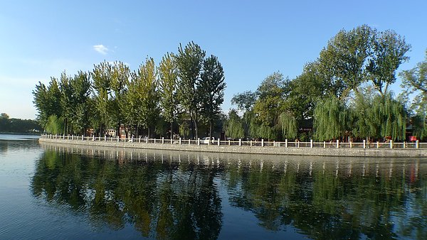 P1020230.JPG
