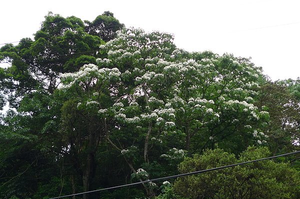 P1000903.JPG