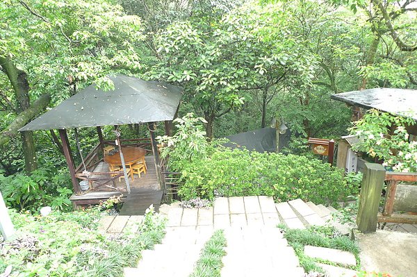 P1010077.JPG