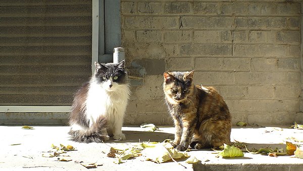 P1020586.JPG