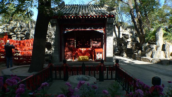P1020592.JPG