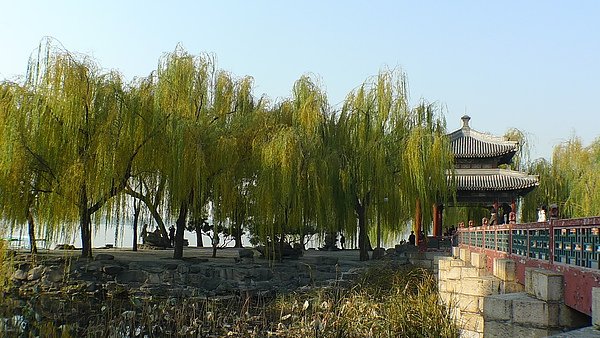 P1020083.JPG