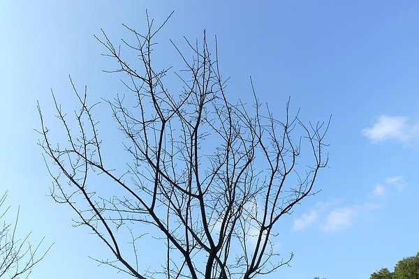 P1030523.JPG