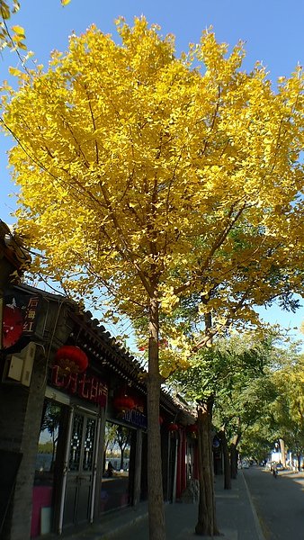 P1020239.JPG