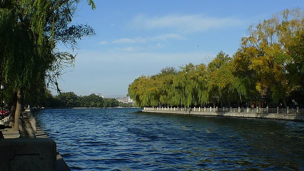 P1020237.JPG