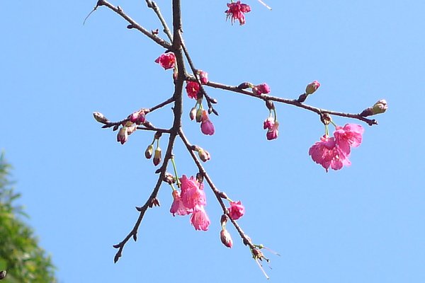 P1030513.JPG