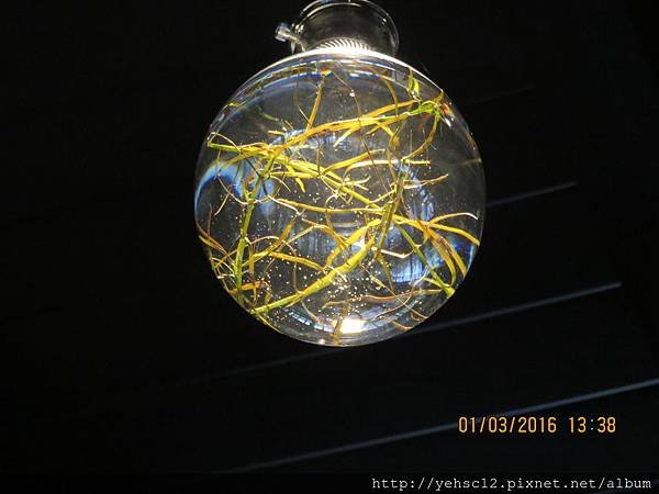 IMG_0111.JPG
