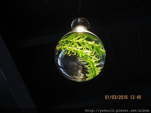 IMG_0113.JPG