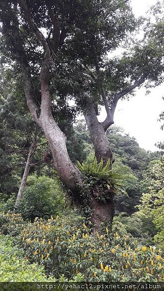 20180606_150946.jpg