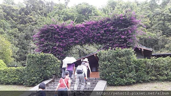 20180606_151147.jpg