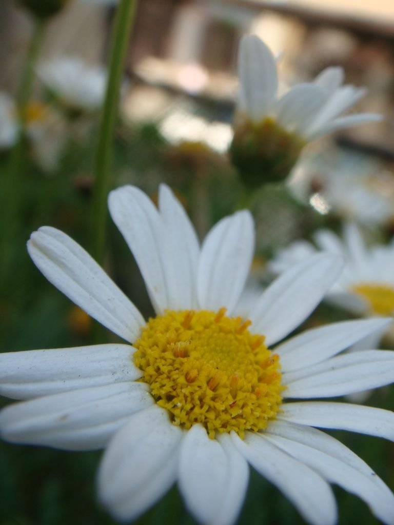 DSC09735.JPG