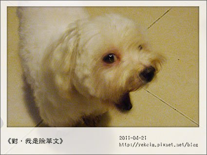 2011042103.jpg