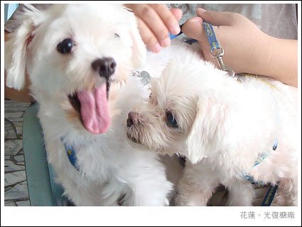2010092708.jpg