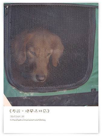 2012012511.jpg