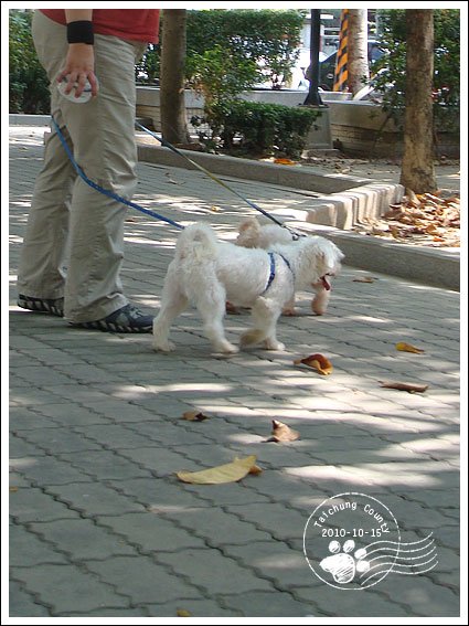 2010101803.jpg