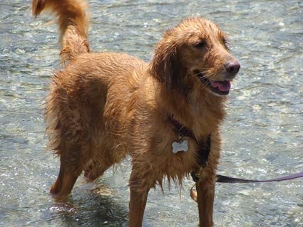 2010070709.jpg