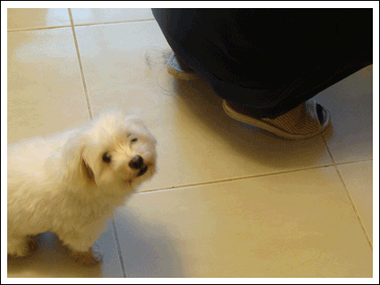 2010112612.gif