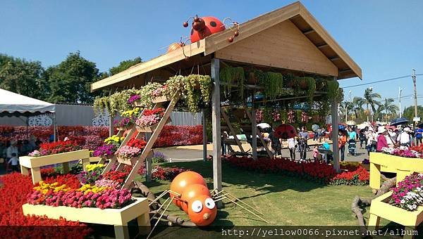 IMAG0132.jpg