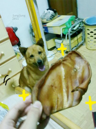 blog0426_06.jpg