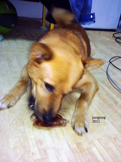 blog0426_08.jpg