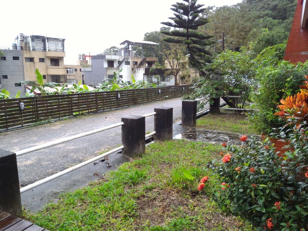 P_20161123_074131.jpg