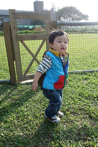 DSC09909