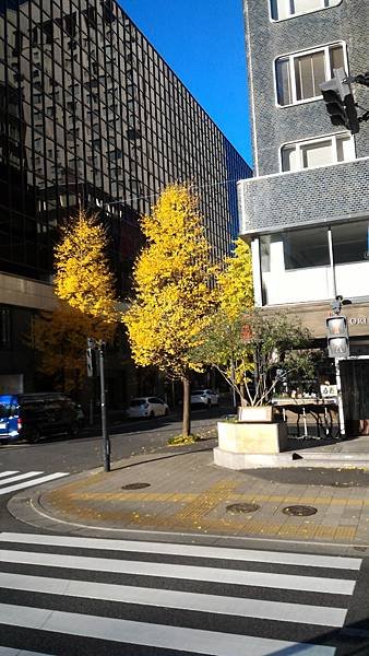 P_20161217_084158.jpg