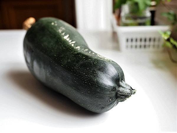 好友M農場裡長出來的zucchini