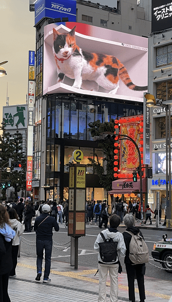 20230511東京自由行Day1-上野/新宿