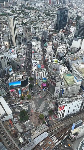 20240508東京自由行Day2-Shibuya Sky/