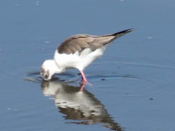IMG_0734.JPG