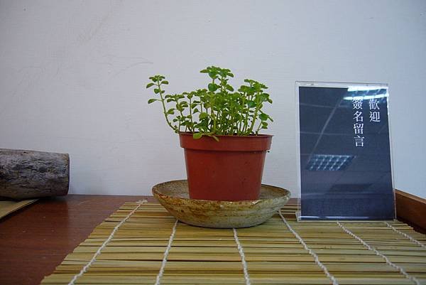 P1130518.JPG