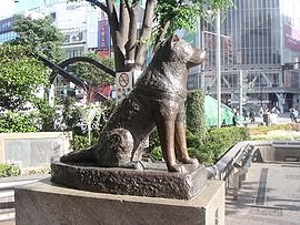 270px-Hachiko200505-4.jpg