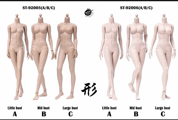 形素體ST-92006C及SDH027女頭雕 1:6  [2