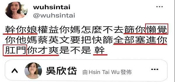 獨派教授與吳欣岱說馬英九喊中華民國就接機結果沒來![事實勝於