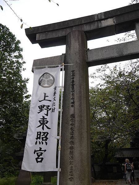 P1000258.jpg