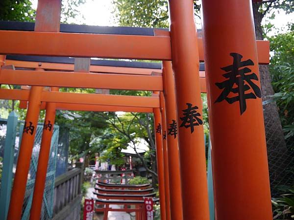 P1000288.JPG