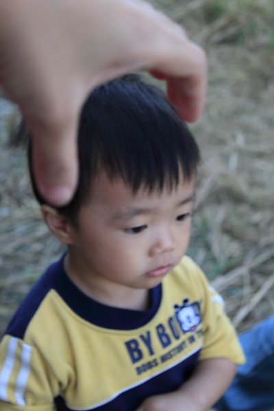 JPG110.JPG
