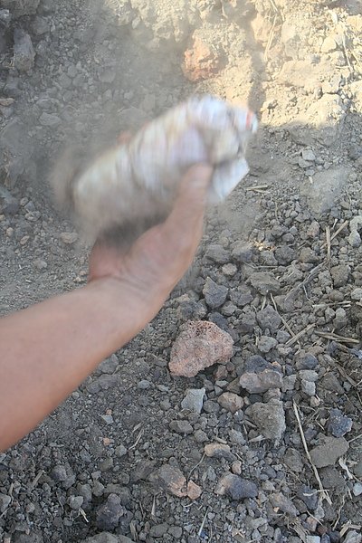 JPG128.JPG