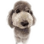 dog 8.png