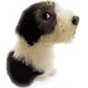 dog 18.png