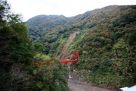 IMG_0320_1