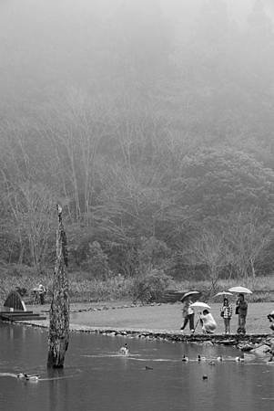 IMG_0360