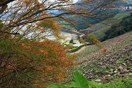 IMG_0576
