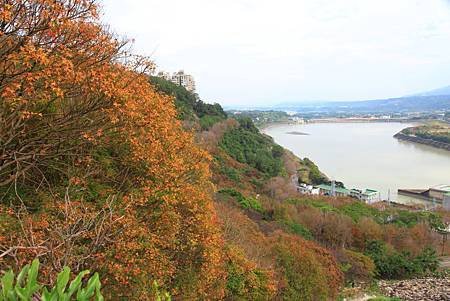 IMG_0577