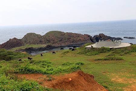 IMG_3274