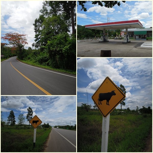 chiangmai37